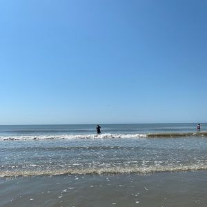 Meet your Posher, Priscilla